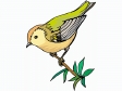 bird85.gif