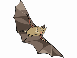 bat3.gif