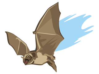 bat6.gif