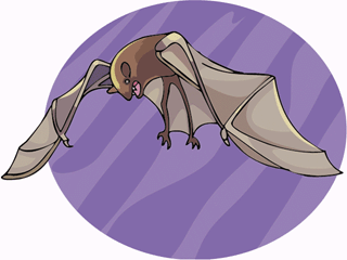 bat8.gif