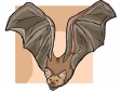 bat11.gif