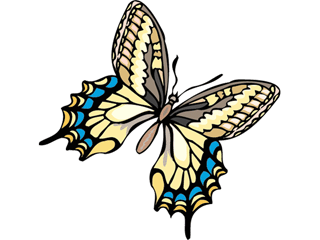 butterfly51.gif