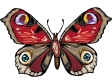 butterfly29.gif