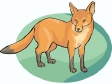 redfox.gif