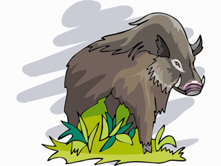 wildboar2.gif