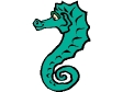 seahorse.gif