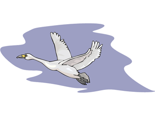 swan3.gif