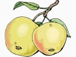 apples131.gif