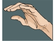 hand29131.gif