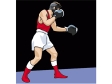 boxer12.gif