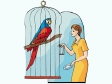 womanparrot.gif