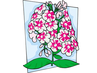 flower121.gif