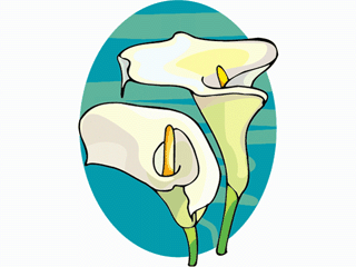 flower13.gif