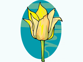 flower14.gif