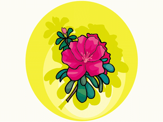 flower221312.gif