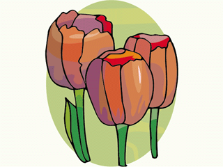 flower27.gif