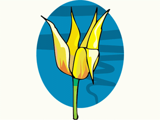 flower33.gif