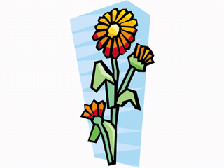 flower421212.gif