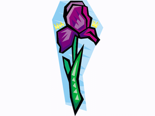 flower52.gif