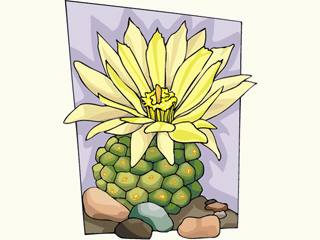 flower581212.gif