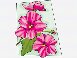 flower601212.gif