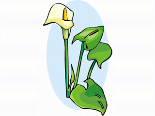 flower61.gif