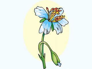 flower69.gif