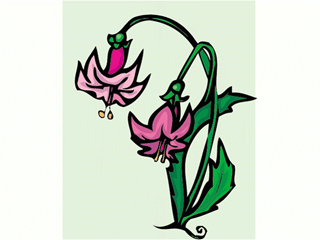 flower80.gif