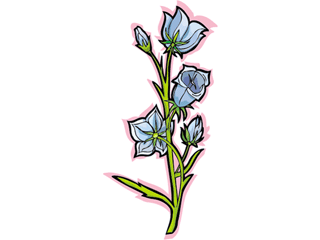 flower91312.gif