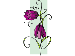 fritillaria.gif