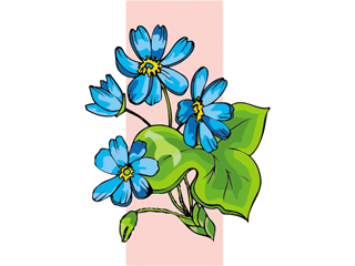 hepatica.gif