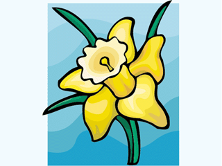 narcissus1212.gif