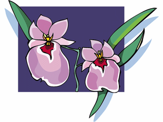 orchid10.gif