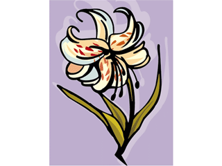 orchid21.gif