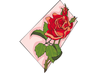 rose21312.gif