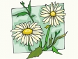 flower571212.gif