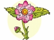 flower78.gif