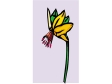 flower88.gif