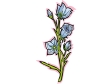 flower91312.gif