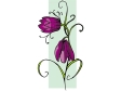 fritillaria.gif