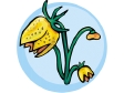 fritillaria1212.gif