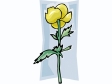 globeflower1212.gif