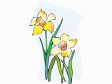 jonquil2.gif