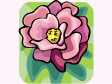 peony1212.gif