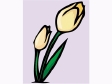 tulip6.gif