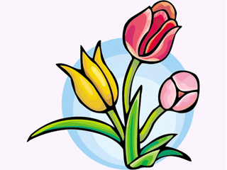 tulip1312.gif