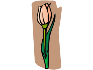 tulip21212.gif