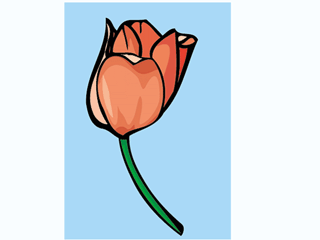 tulip7.gif