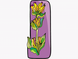 yellowfritillaria.gif