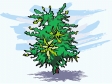 tree41212.gif